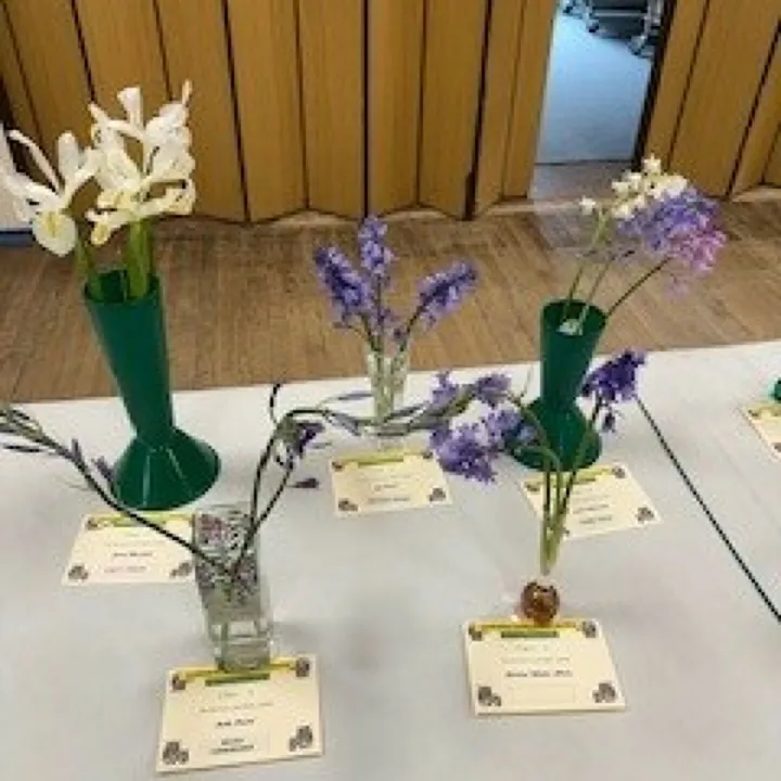 Bulb Flowers
