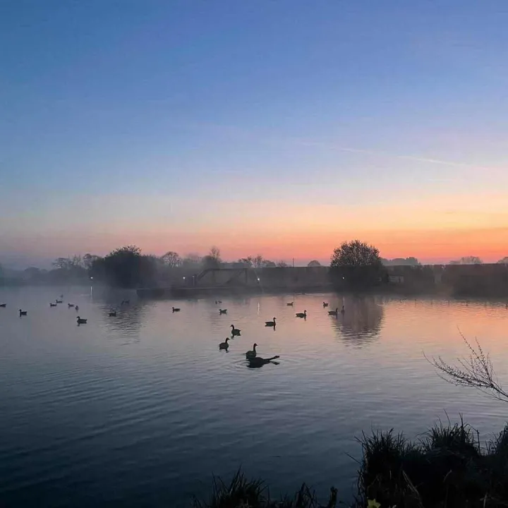 Misty Lights