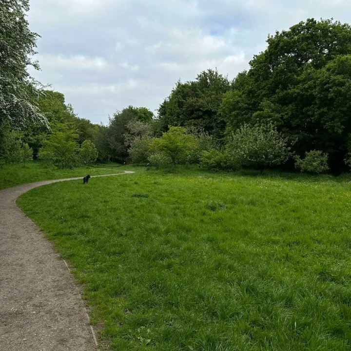 Orchard