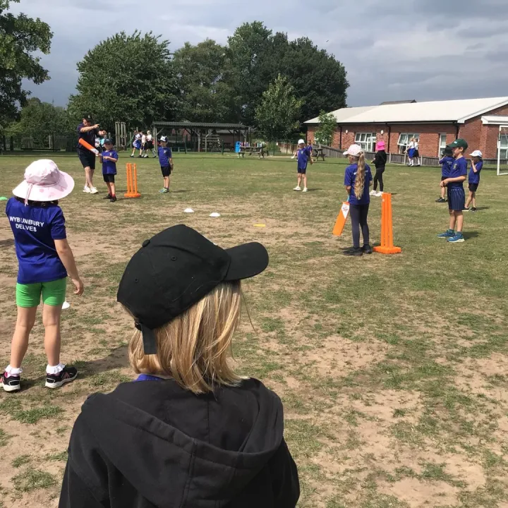 Cricket
