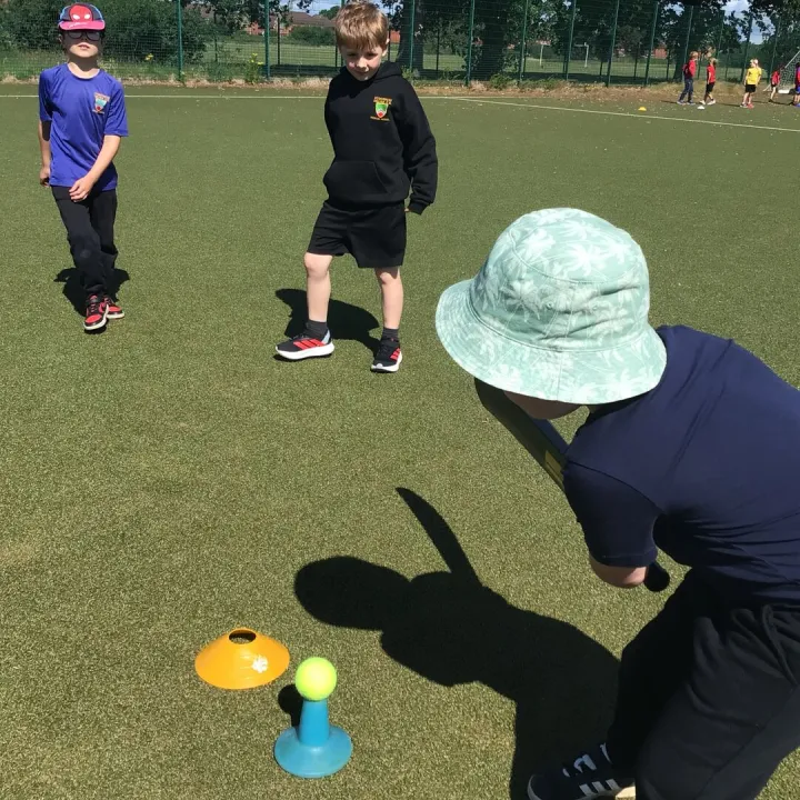 Cricket