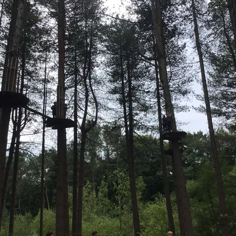 Go Ape