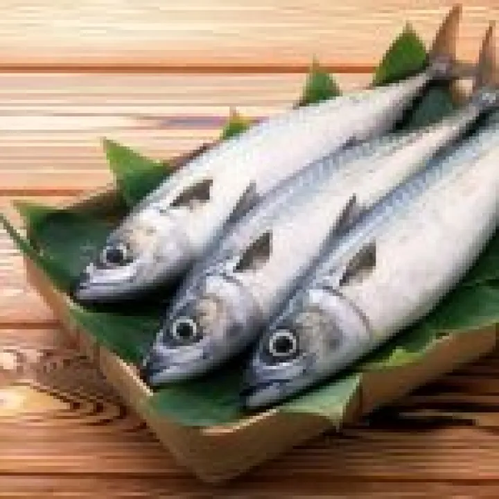 Freshfish 03