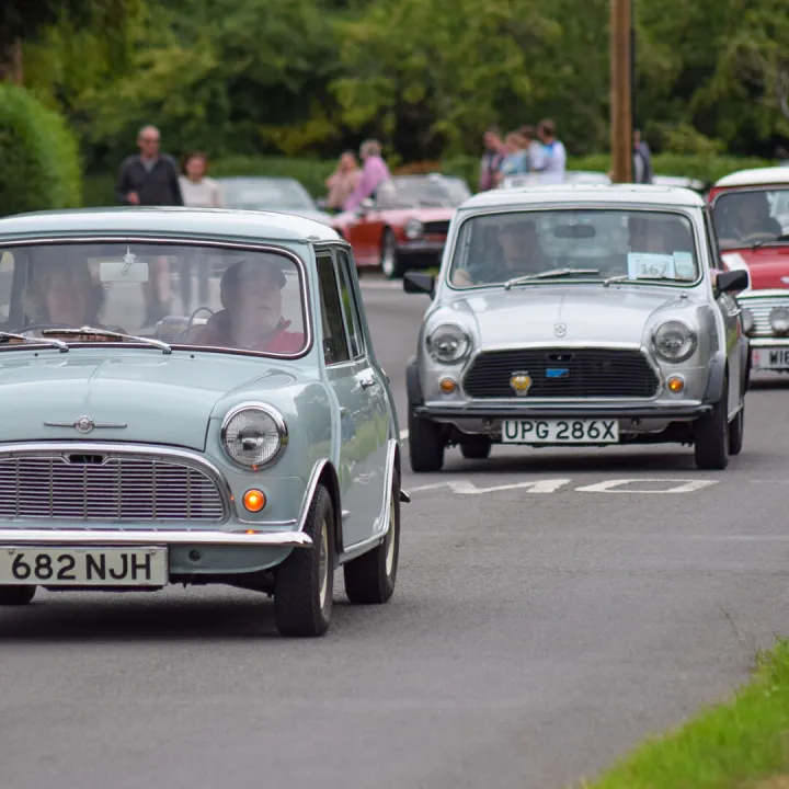 minis