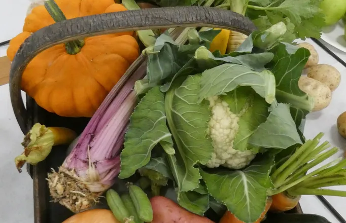 HHS Show Veg 2025_01