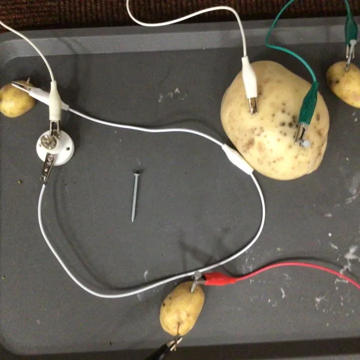 Science