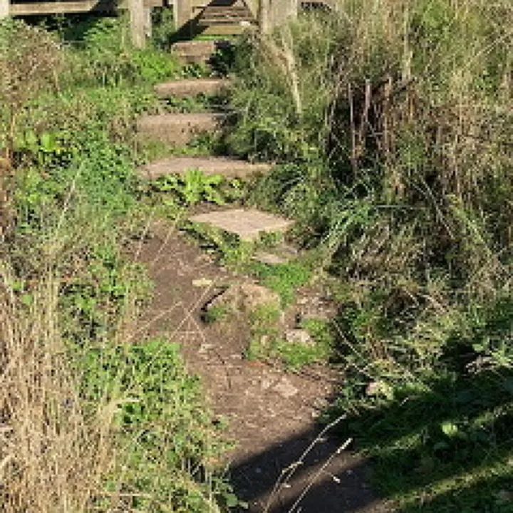 Image001