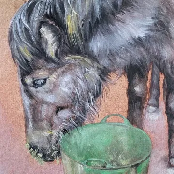 Gallery_page_equine8