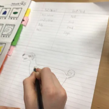 C3f06548-B11c-483b-8a80-A1fad9dde01c