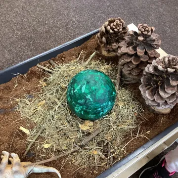 0813b52a-Db6b-41ae-A6e6-A9ab69393f35