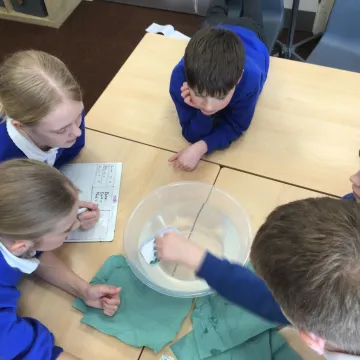 186616e4-1eb4-4fd7-8f02-52c009dcbb01