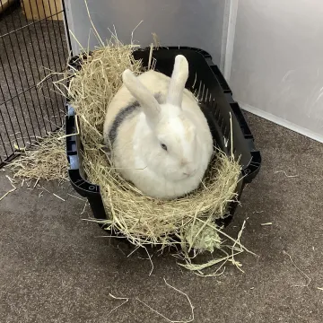 77201e72-F85b-4f7e-B97e-20afe8b4d96b