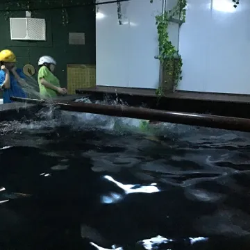 A39124e0-0b8d-4777-9948-99226a7d602a