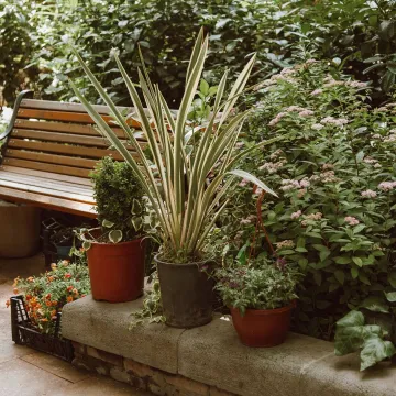 A serene outdoor scene with a wooden bench