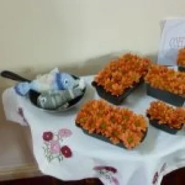 Ryhill Flower Festival – 11