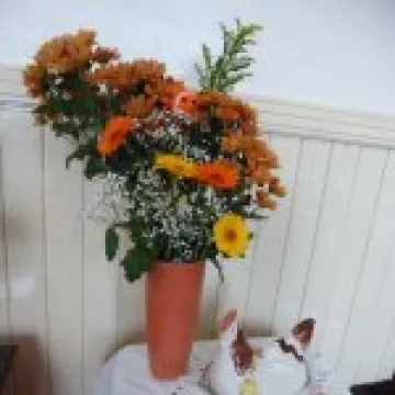 Ryhill Flower Festival – 2