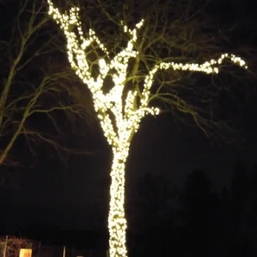 20151221_183912_Burst02