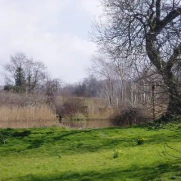 March  The Mill Pool