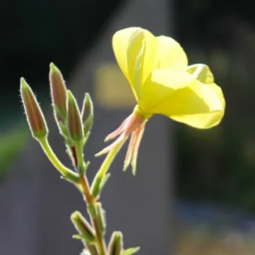 Last Import   12 of 20