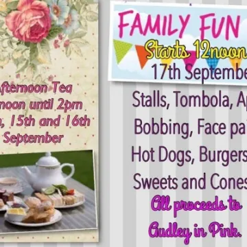 Halmer End Institute supporting Audley in Pink_B_160907