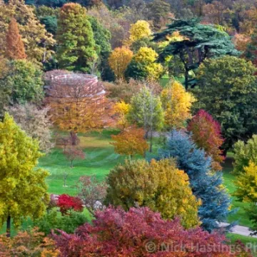 Autumn_eaton 18 edit