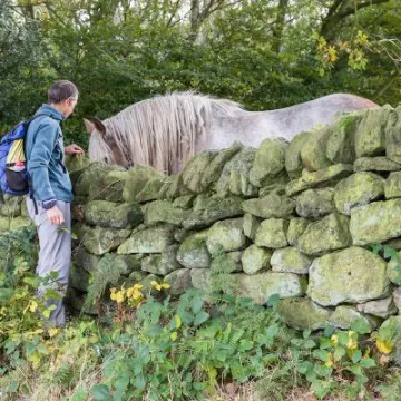 Sandstone Ridge   Walkers in Autumn 25