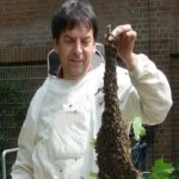 Bee Swarm & Keeper 03