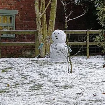 25152293_1752182101460305_897077923368713582_n