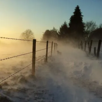 BeastfromtheEast_2_1