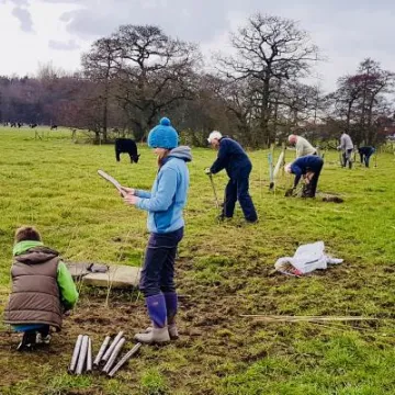 Hedge Planting 2018