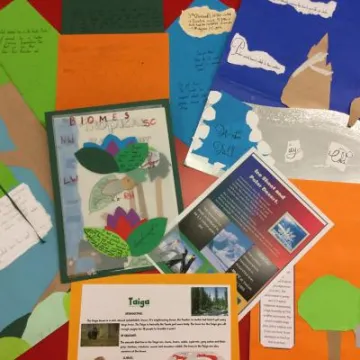 B18D340C-0CA9-4A6A-80AC-505D85A80FE5