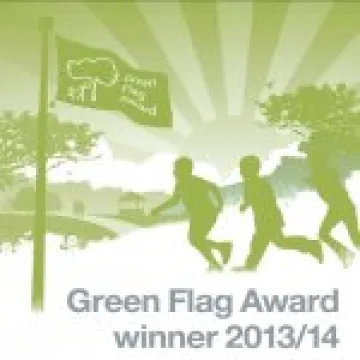 greenflag2013 winner
