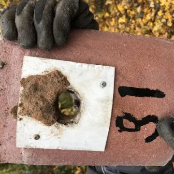 Nuthatch Using Great Tit Box   Outside   Laura Denny