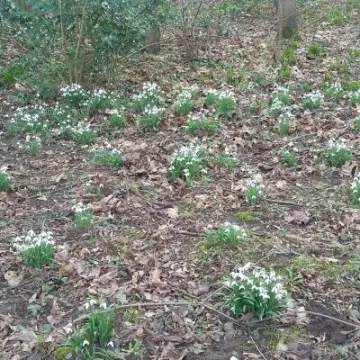 20190213_120342_resized