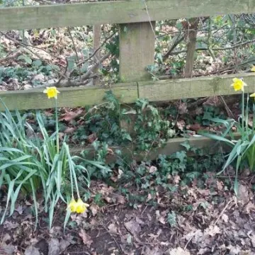 February 2019 thumbnail (1)