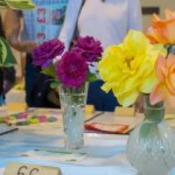 Haddenham's Annual Show 18