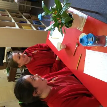 24795BC6-B5A7-446B-8B47-E6F70364A54C