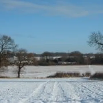 Minshull winter Jan 2013 (3)