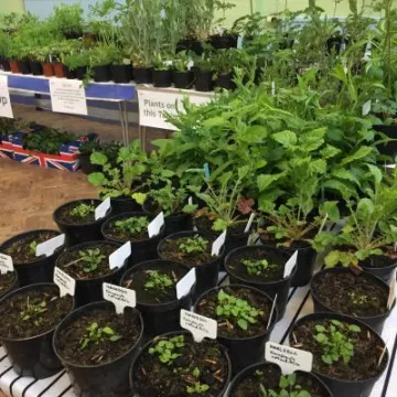 AD256E52-6D91-46D2-B04C-7A3706362522