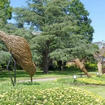 Grosvenor Park Birds 2