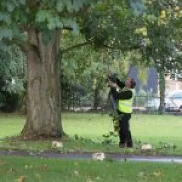 Chris tackles the old nests!