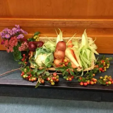 Image: 20191005_114310_resized