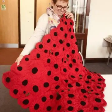 Haughton poppies