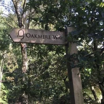 Station to Station Event