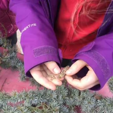 Image: 48ABC415-4C07-4CA7-8D2D-03758620DF00