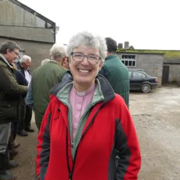 Butty Van Distric Chair 6