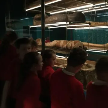 CA02D19B-08BA-46C5-A231-CD00E35A667F