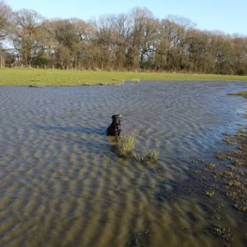 Image: 20200201_093914