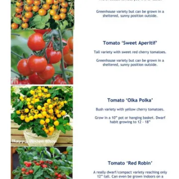 Plant Details 2020 Part 2  05-20_200511_page_002