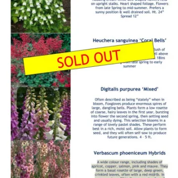 Plant Details 2020 Part 1 05-20_200511_page_001